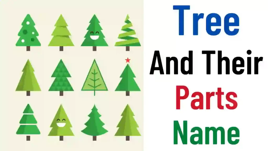 Trees and their parts name