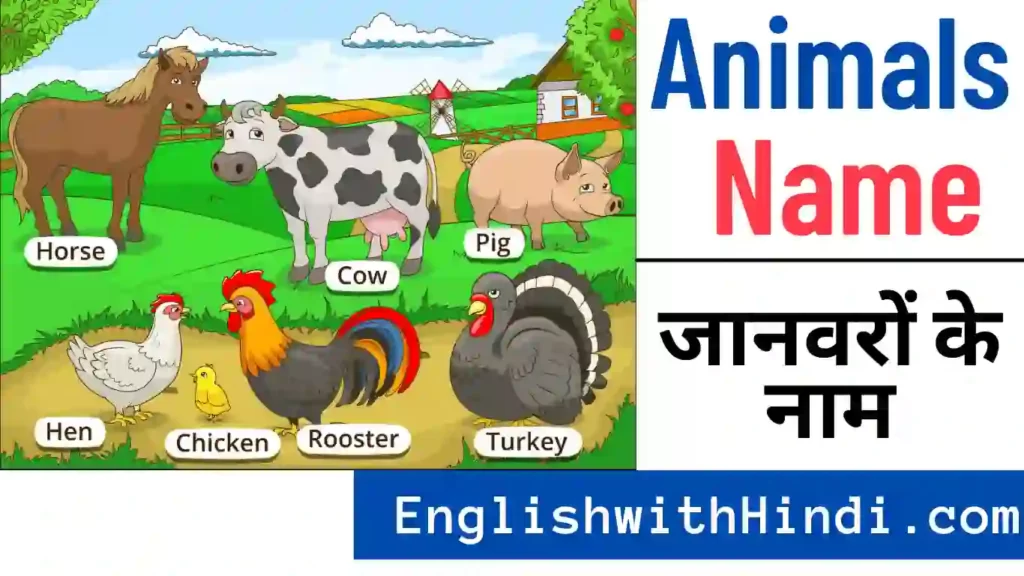 Animals Name in Hindi English