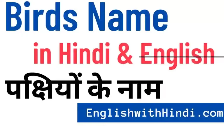 birds name in hindi